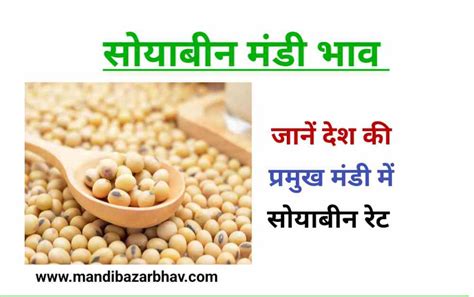 आज का सोयाबीन मंडी भाव 22 जुलाई 2023 सोयाबीन रेट में तेजी जानें Soybean