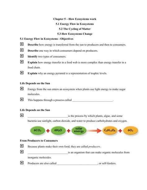 Energy Flow In Ecosystems Answers Consumers Energy Xcel — Db