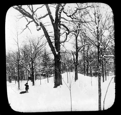 Official sources show how to use the waukesha county inmate list easily 9