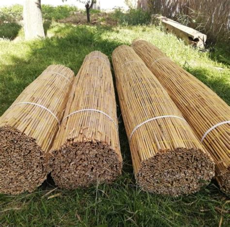 generique brise vue en canisse roseau paille cloture balcons terrasses