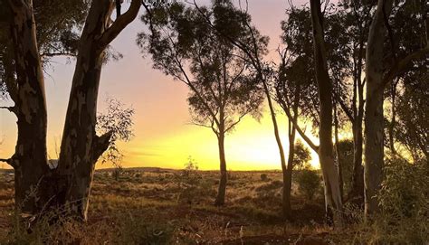 farm station stays  south australia greater sa