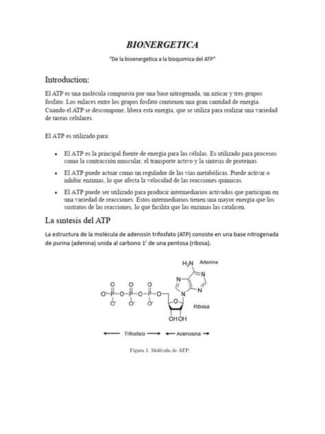 Bionergetica Resumen Bioquimica Descargar Gratis Pdf Trifosfato De Adenosina