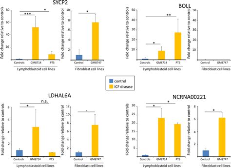 Gene expression analysis for the selected 4 CpG island-promoter ...