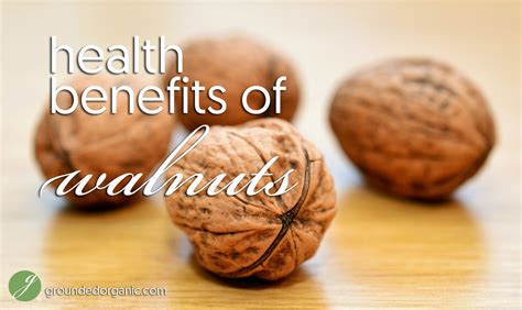 Health Benefits Of Walnuts Grounded Organic