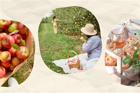 Outhouse orchards new york apple picking season begins this week 29