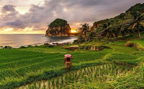 Eksotis And Instagramable Ini Rekomendasi Pantai Di Pacitan Yang Bagus