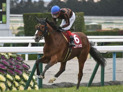 競馬初心者必見馬券予想🔥〜日経新春杯〜アドマイヤビルゴ×武豊コンビが重賞制覇を目指す〜 ハムスターブログ🐹〜ハムハムしながら競馬と株を嗜む〜