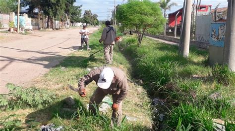 Intenso Trabajo De Desmalezamiento Y Poda En Diferentes Barrios De La