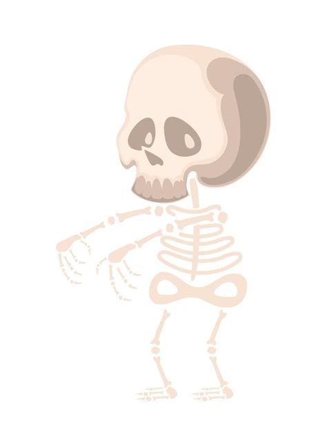 halloween skeleton character 13795729 Vector Art at Vecteezy