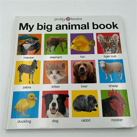 My Big Animal Book by Roger Priddy, Hardcover | Pangobooks