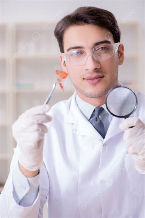 Expert Criminologist Working In The Lab For Evidence Photo Background
