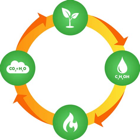 Biofirefuel Bioethanol: A Premium Eco Fuel for a Greener Future | Bulk