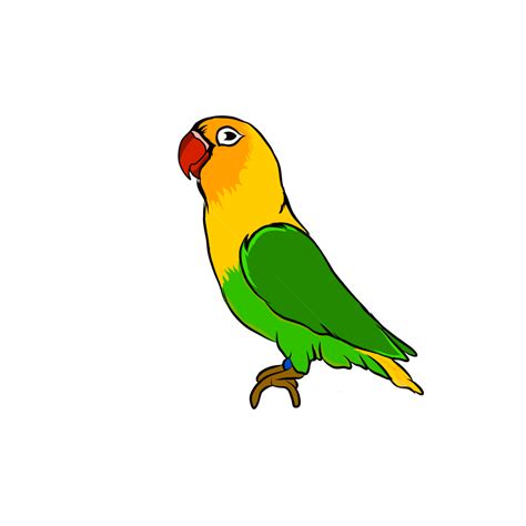 Gambar Kartun Burung Burung Logo Burung Burung Burung Png Dan Vektor