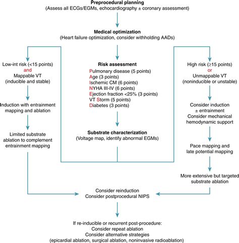 Ablation of Postmyocardial Infarction Ventricular Tachycardia