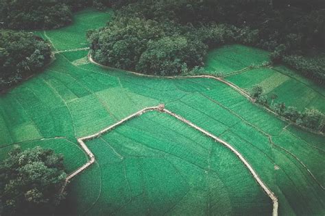 Ini Dia Destinasi Wisata Hidden Gem Dengan View Persawahan Yang