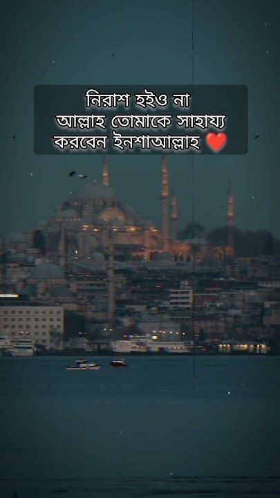 আল্লাহর উপর নিরাশ হইও না🥀🥀🤲islamicquotesislamic Shortsvideo Youtube