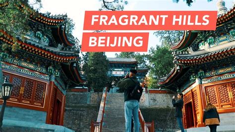 Travel China Fragrant Hills Park In Beijing Youtube