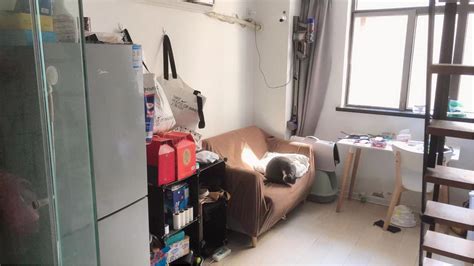 Shanghai Minhang Long Short Term Sublet Single Apartment Pet Friendly