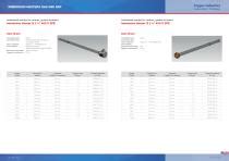 IMMERSION HEATERS GAS AND BSP Rica Zoppas Industries Heating