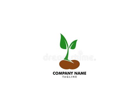 Set Of Plant Seeds Logo Concept Template Vector Stock Vector