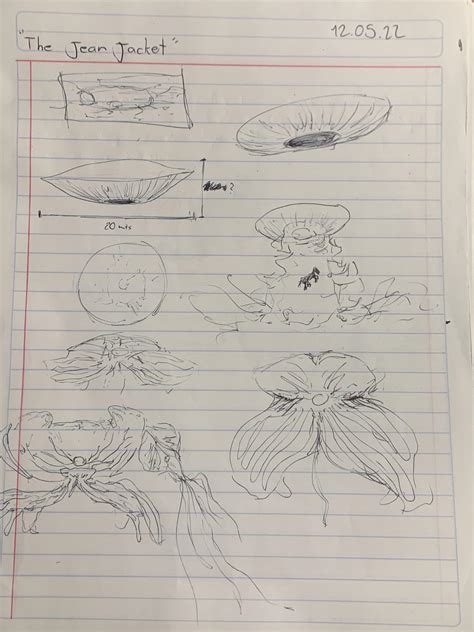 the jean jacket : r/NopeMovie