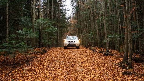 The 4-Wheel Drive Hierarchy: Unlocking Your Vehicle's True Potential