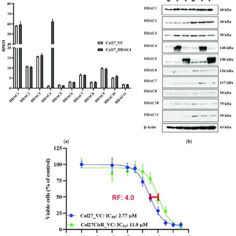 A Hdac Isoform Gene Expression In Cal Vc And Cal Hdac Data