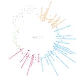 marian doerk monadic exploration