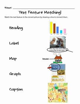 Text Features Worksheets Grade 5