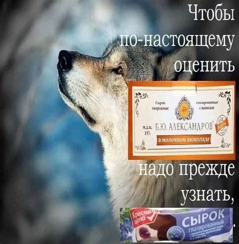 приколы для даунов :: сырок :: Б.Ю. Александров :: мудрость волка ...