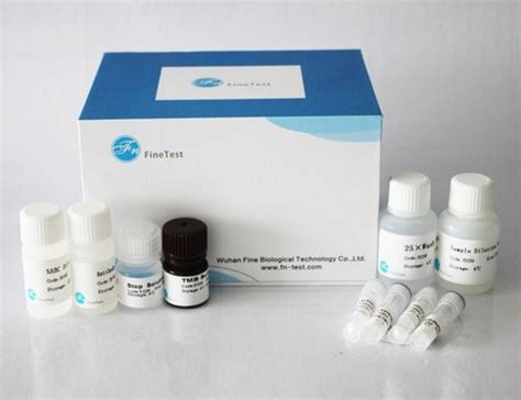 Rat Elisa Test Kit FINETEST At 18519 Kit Elisa Based Diagnostic