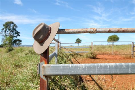 Regional Drought Resilience Planning Scheme Queensland