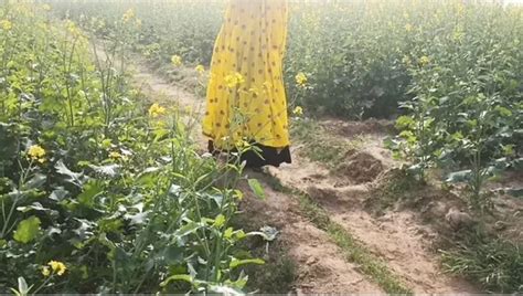 Tamil Mallu Actress And Teachers Sex Video XHamster