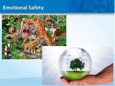 Trauma Informed Care For Victims Of Sex Trafficking