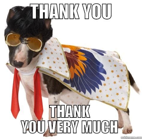 Thank You Dog Meme