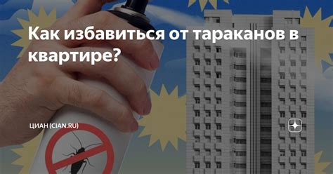 Как избавиться от тараканов в квартире? | Циан (cian.ru) | Дзен