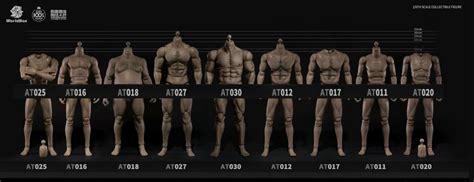 WORLDBOX 1 6 Scale Male Body Figure Model Hot Toys PHICEN Crazy Durable AT030 EBay