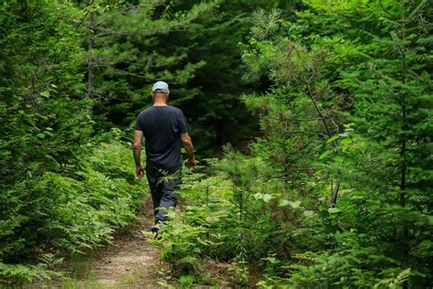 Hiking at Katahdin Woods and Waters - Katahdin Woods and Waters ...