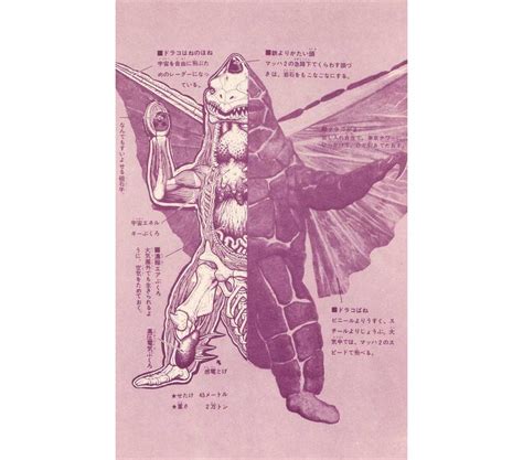 Tokusatsu Defense Force Ultraman And Kaiju On Twitter Dorako