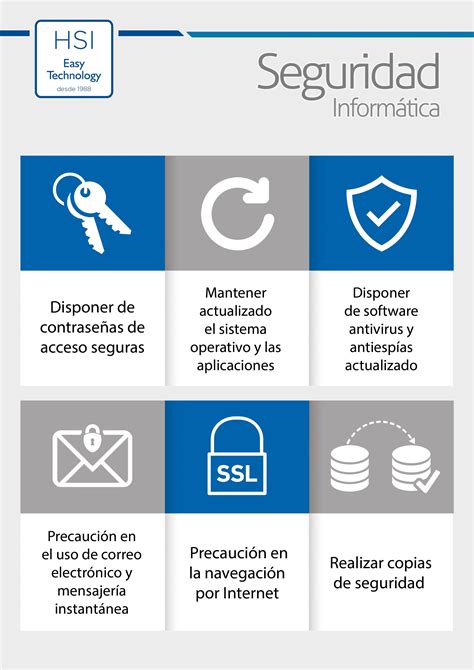 Infografia Seguridad Informática Hsi