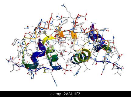 Insulin Peptid Hormon Chemische Struktur Wichtiges Medikament In Der