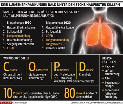 Warum Lunge über ein langes Leben entscheidet