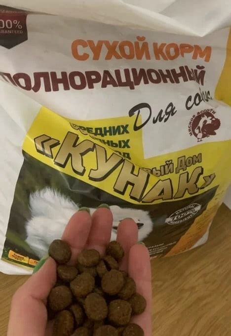Корм для собак Кунак: отзывы, разбор состава, цена - ПетОбзор