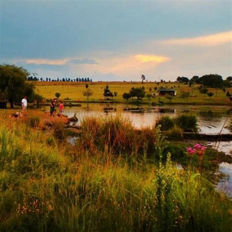 Top Things To Do In Muldersdrift Za