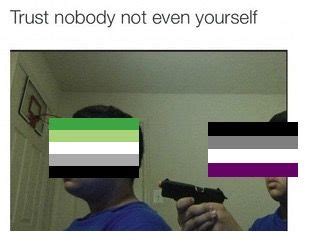 Pinterest Lgbt Memes Asexual Humor Gay Memes