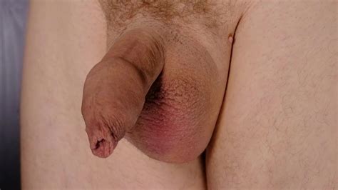 Free Close Up Balls Gay Porn Videos Xhamster