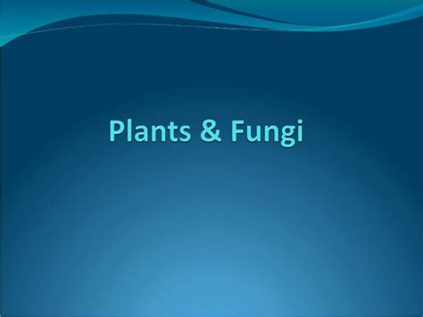 Ppt Kingdom Plantae Descended From Chlorophyta Green Algae Plant Like