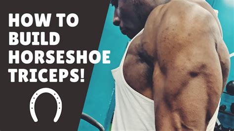 How To Build Horseshoe Triceps Commercial Gym Youtube