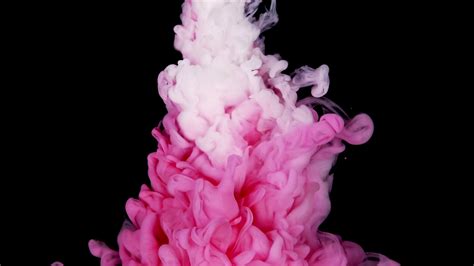 Fluid Elegance Slowmotion Pink Paint Drops Stock Footage Sbv