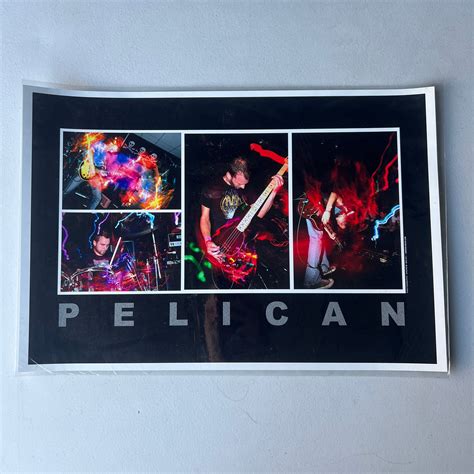 Pelican Band Collage Photography Print 19" x 13" Poster – Vinyl Devotion